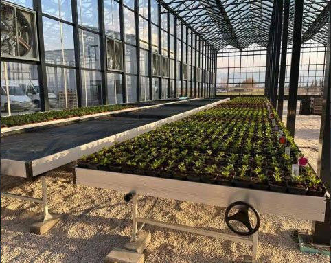 Latest company Solutions about Bulgaria Glass Greenhouse