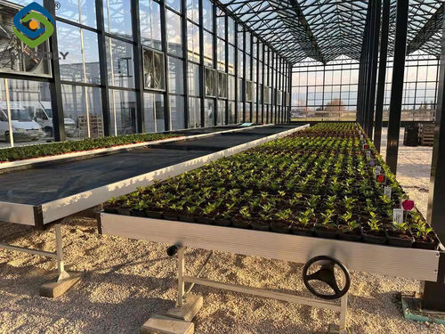 Latest company news about Bulgaria Glass greenhouse