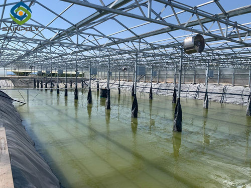 Latest company news about Cyprus Polycarbonate Greenhouse