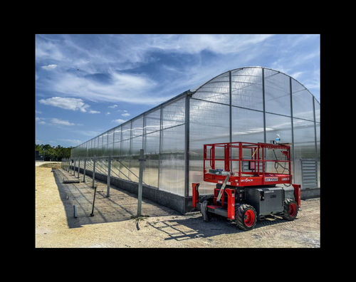 Latest company news about Greenhouse-A good helper for modern agriculture