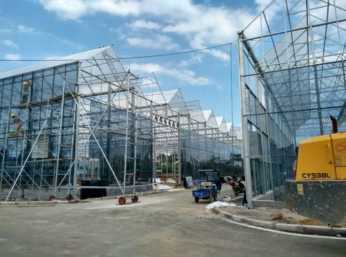 Latest company news about How to be a competitive greenhouse brand