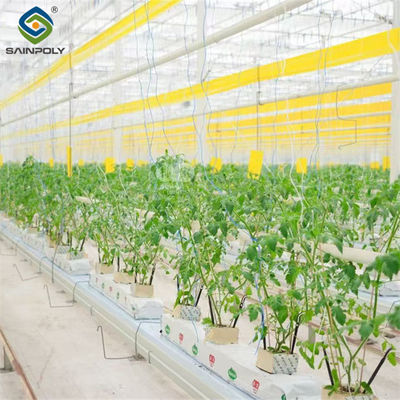 Good price Galvanized Frame Single Span Tunnel Greenhouse Plastic Shed For  Vegetables online