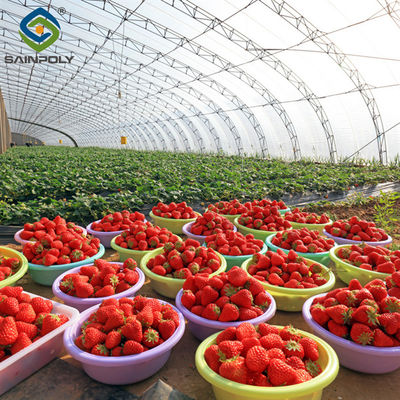 Good price SAINPOLY Easily Assembled Fruit Growing Greenhouse Strawberry Production online