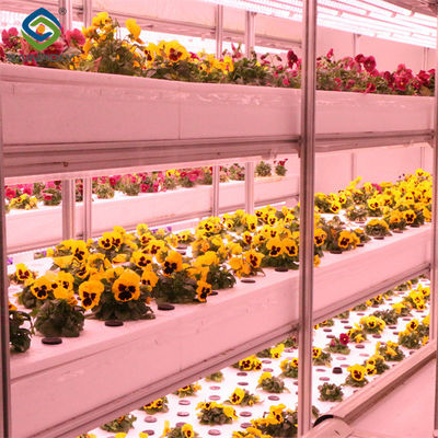 Structural Frame Polycarbonate Glass Greenhouse For Flower Growth