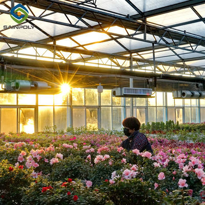 Good price Flower Growing Steel Frame Greenhouse Wind Resistance Large Glass Greenhouse online