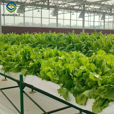 Good price Commercial Lettuce Greenhouse Low Maintenance Weather Resistant online