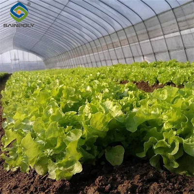 Good price Sainpoly Commercial Hydroponic Greenhouse For Plant Growing Lettuce online