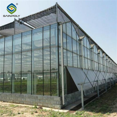 Good price Custom Dutch Venlo Greenhouse Modern Farms Greenhouse With Intelligent Control System online