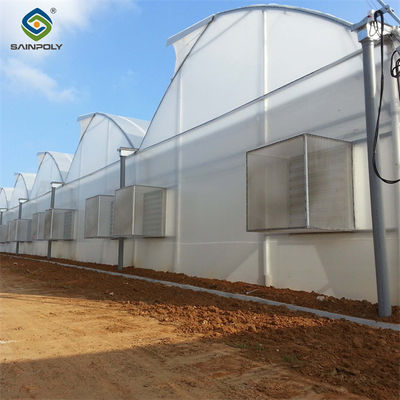 Good price Gothic Frame Greenhouse Large Size Agricultural Multi Span Plastic Film Greenhouse online