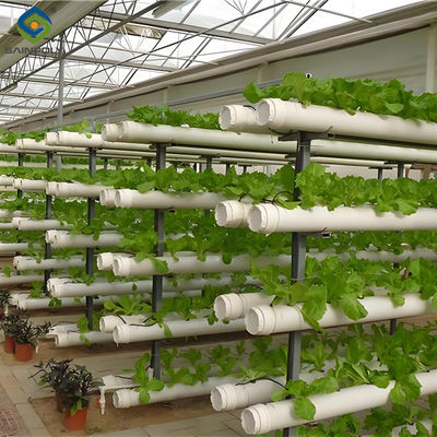 Good price Customization Hydroponic System Greenhouse With Rolling Benches online