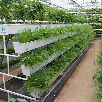 Good price Agricultural NFT Vertical Growing Greenhouse Soilless Greenhouse Multi Span online