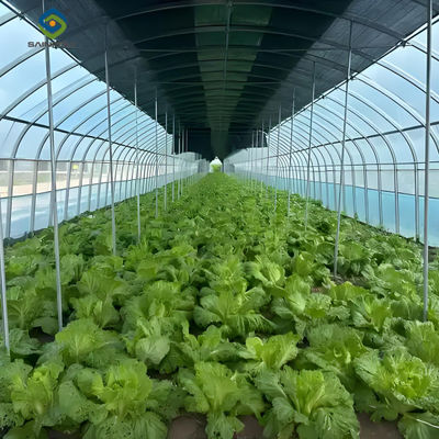 Good price PVC Gutter Soilless Culture Hydroponic Lettuce Greenhouse Anti Corrosion online