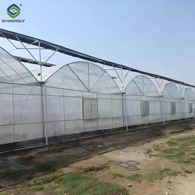 Good price Galvanized Steel Multispan Commercial Polycarbonate Greenhouse Customized Length online