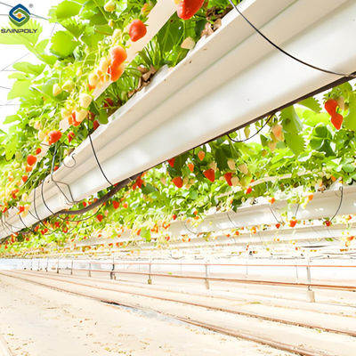 Good price Stable Energy Saving Strawberry Greenhouses With Heating Cooling System online