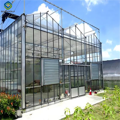 Good price Intelligent Venlo Glass Greenhouse For Tomato Strawberry Growing Turnkey Project online