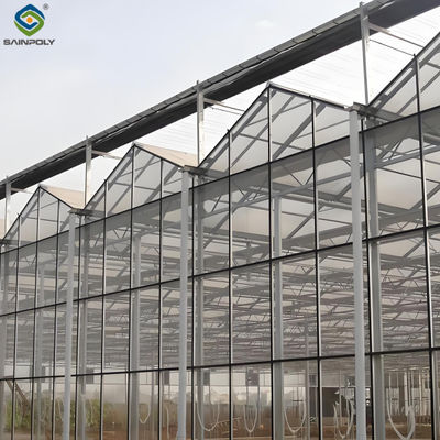 Good price Modern Venlo Greenhouse Farming Commercial Glass Greenhouse With Steel Frame online