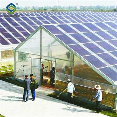 Good price Strong Metal Frame Greenhouse Automatic Systems  Solar Energy Green House online