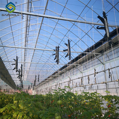 Good price Single Span Tomato Greenhouse Hydroponics Growing Large Glass Green Houses online