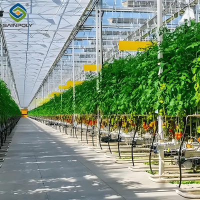 Good price Tomato Planting Complete DIY Greenhouse Kit With Hot Dip Steel Frame PE / Glass Cover online
