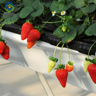 Good price Agricultural Intelligent Strawberry Green House PC Board Greenhouse Eco Friendly online