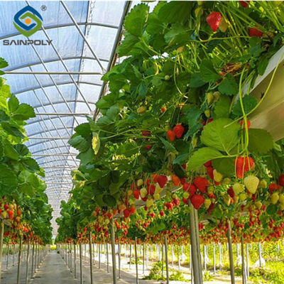 Good price Single Span Commercial Greenhouse Kits Plastic Film Tunnel Greenhouse Stable Structure online