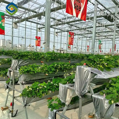Good price Heavy Duty Commercial Greenhouse Luxury Film Venlo Type For Stawberry online
