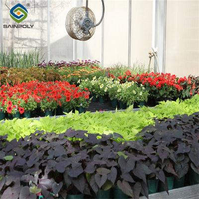 Good price Uv Protection Transparent Flower Garden Greenhouse Easy To Assemble online