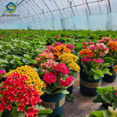 Good price Commercial 4 Season Greenhouse Flower Planting Greenhouse  UV Resistant online
