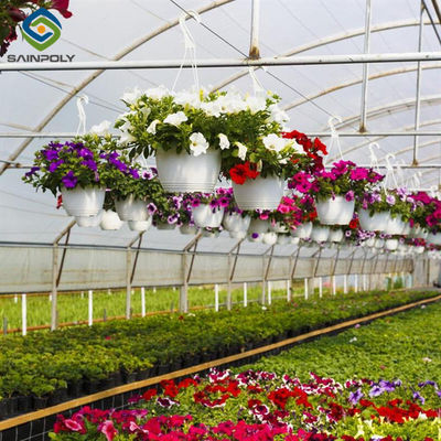 Good price OEM Agriculture Green House Commercial Glass Greenhouse With Humidity Regulation online