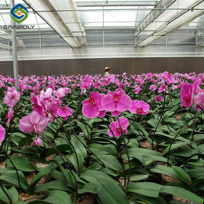Good price Indoor Outdoor Use Floral Greenhouse Commercial Green Houses Weather Proof online