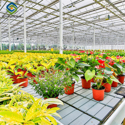 Good price Intelligent Smart Flower Greenhouses With Hydroponic System Rolling Bench Planting Bags online