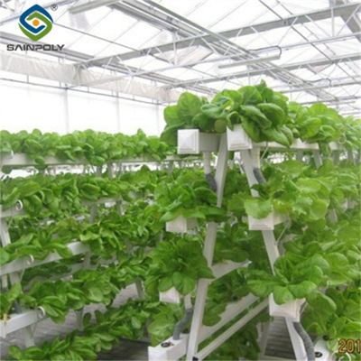 Good price Sainpoly Hydroponic Lettuce Greenhouse Tunnel Green House Customized online