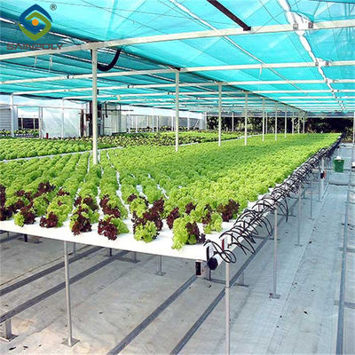 Good price Easy Installation Customized Agricultural Greenhouses With LED Lighting online