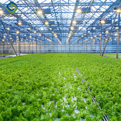 Good price Large Size Vertical Hydroponic Greenhouse Stable Structure Easily Assembled online