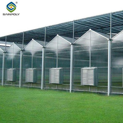Good price PC Sheet Venlo Type Greenhouse Large Commercial Polycarbonate Greenhouse Energy Saving online