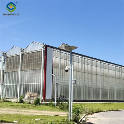 Good price Agricultural Polycarbonate Multi Span Greenhouse Venlo Style 30-60m Length online