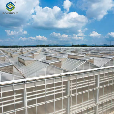 Good price Multi Span Agricultural Polycarbonate Green House Venlo Style Greenhouse online