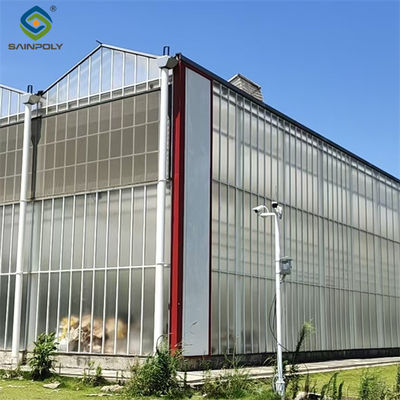 Good price Agriculture Polycarbonate Venlo Type Greenhouse For Planting Tomatoes online