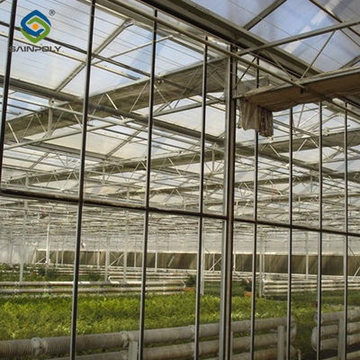 Good price Agricultural Glass Venlo Type Greenhouse Wind Resistance Professional Installation online