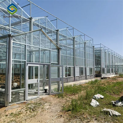 Good price Venlo Multi Span Custom Glass Greenhouse For Vegetables Farming Growing online