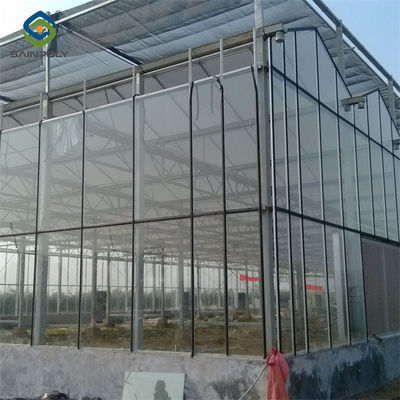 Good price Multispan Agricultural Venlo Glass Greenhouse Good Insulation In Winter online