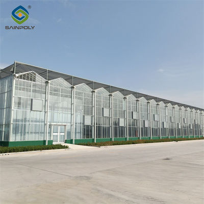 Good price Steel Frame Dutch Venlo Greenhouse Tempered Glass Greenhouse  For Planting Tomatoes online