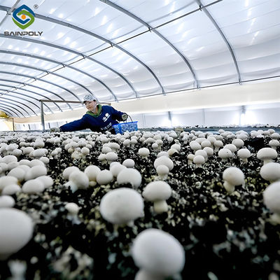 Good price Electrical Control Mushroom Growing Greenhouse With Hot Galvanizing Pipe Structure online