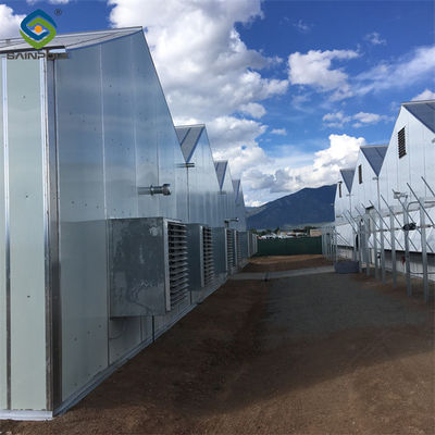 Good price Fully Automated Light Deprivation Greenhouses With Blackout System For Herb online