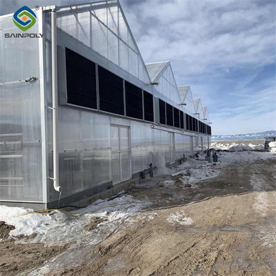 Good price Snow Resistance Polycarbonate Film Greenhouse 100% Darkness Easy To Install online