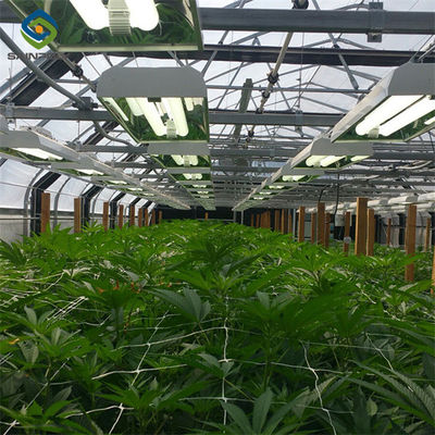 Good price Electric Type Full Dark Blackout Greenhouse For Agricultural Commercial online