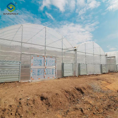 Good price High Performance Commercial Greenhouses 30m/50m/60m Or Customized Length online