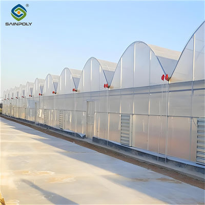 Good price Customized Commercial Greenhouse Vegetable Production For Pepper And Cucumber online