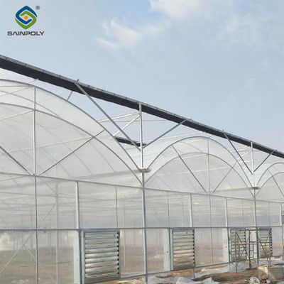 Good price Agricultural Multi Span Greenhouse Strong Structure For Tomato Planting online