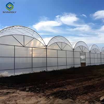 Good price Commercial Multi Span Greenhouse Plastic Film Greenhouse For Vegetable Growing online